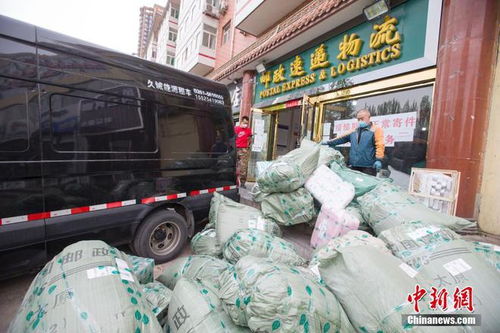 东方大运物流公司 如何保障物流高效运行