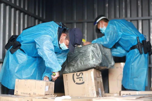 重庆到邢台物流专线