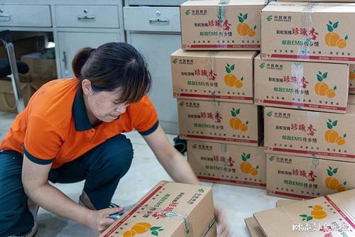 顺丰出新招 对狙万亿级快运市场 