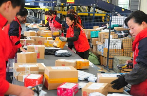 申通快运起网在即 2025年快运市场将进入群雄逐 申通快运起网在即 2025年快运市场将进入群雄逐