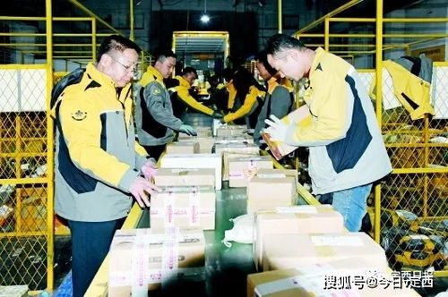 ems海运单号查询