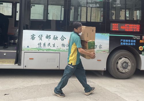 助理物流师作业中都干什么啊