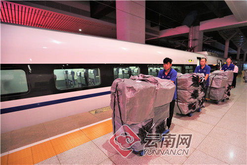 双节迎来消费高峰 顺丰同城急送为商家保驾护