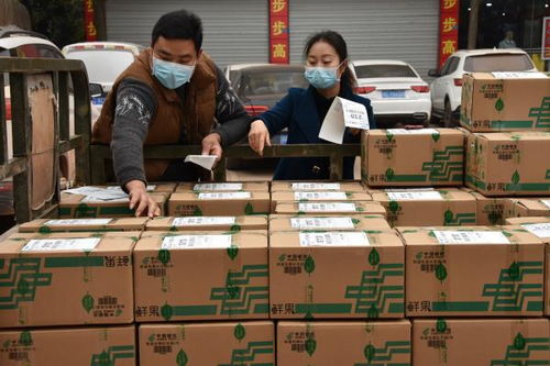 海尔物流成本如何优化以降低企业运营成本 海尔物流成本如何优化以降低企业运营成本