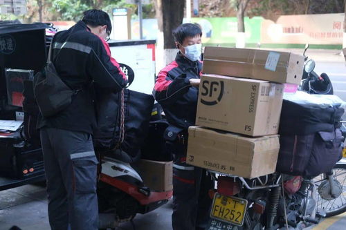 上海佳吉快运人员构成