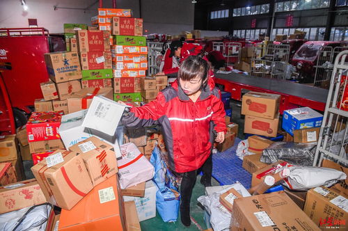 联邦国际快递怎么寄