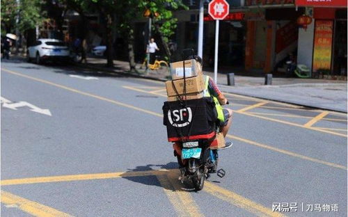 今日上午第十届中国国际物流节在海南开幕