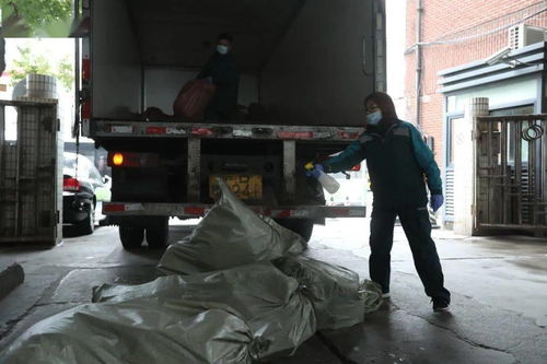 哪个快递邮递生果最靠谱