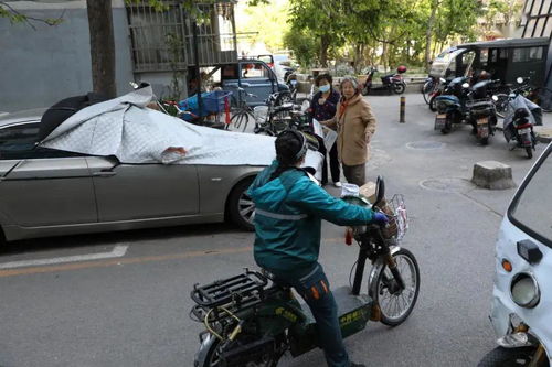 成本低效率高 新能源物流大有可为