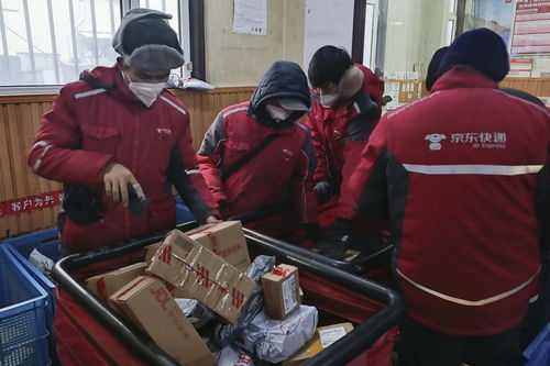 天津海运职业学院专业