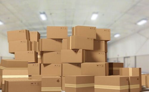 黄滨 热点热议不如夯实基础