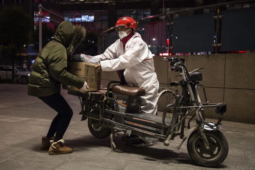 物流软件业的发展前景