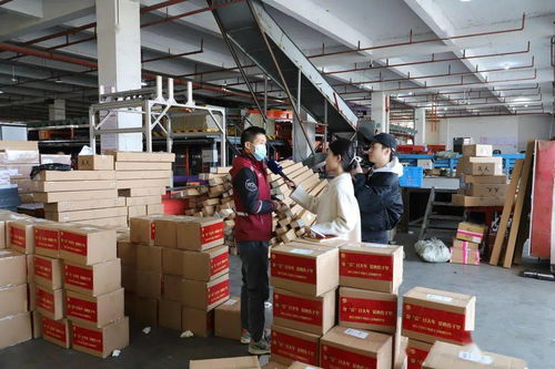 京东快递快递费赔偿