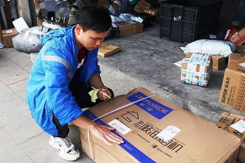 怎么样查中通快递单号查询