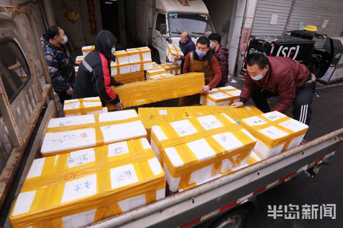 ups查询国际快递查询