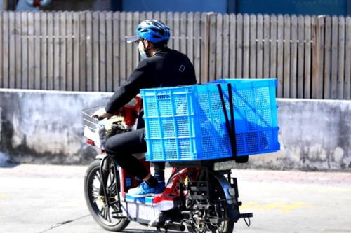 凭借路歌 互联网+物流渠道开展无车承运事务的物流企业 比较其他企业将具有以下几个方面的优势