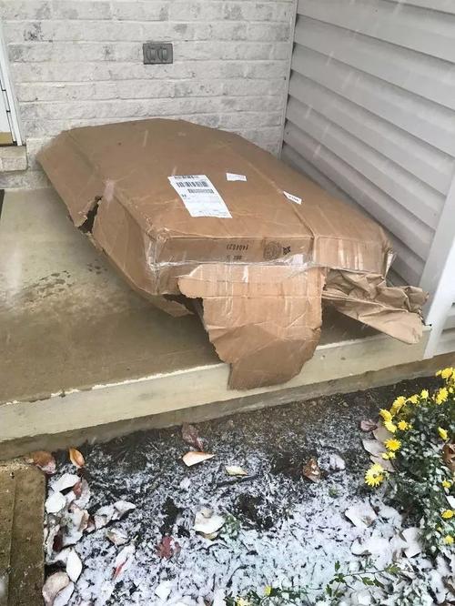 服从专业调剂是什么意思