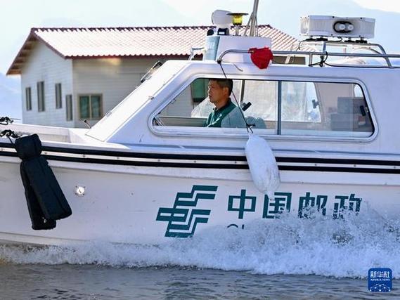 这膝盖我收下了江山沧澜