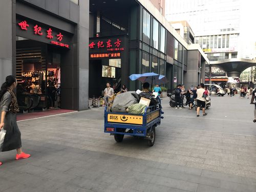 突然收到顺丰的快递