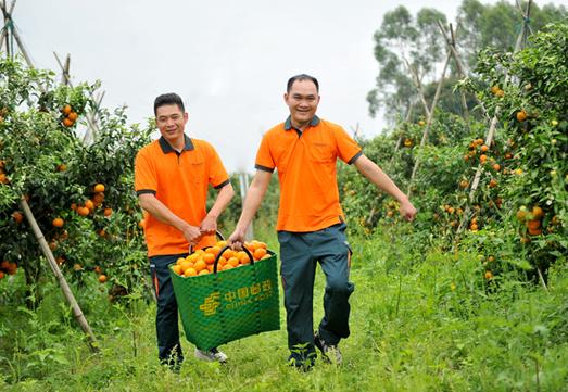 湖北高考录取通知书查询