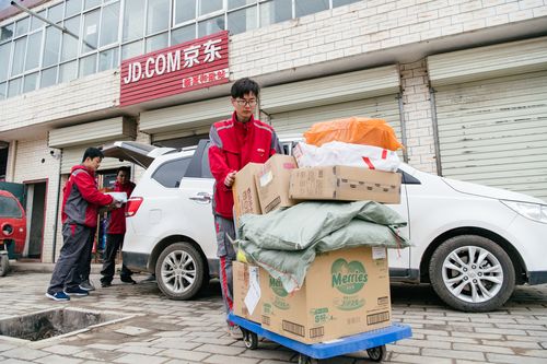 速通物流单号查询追踪 速通物流单号查询追踪