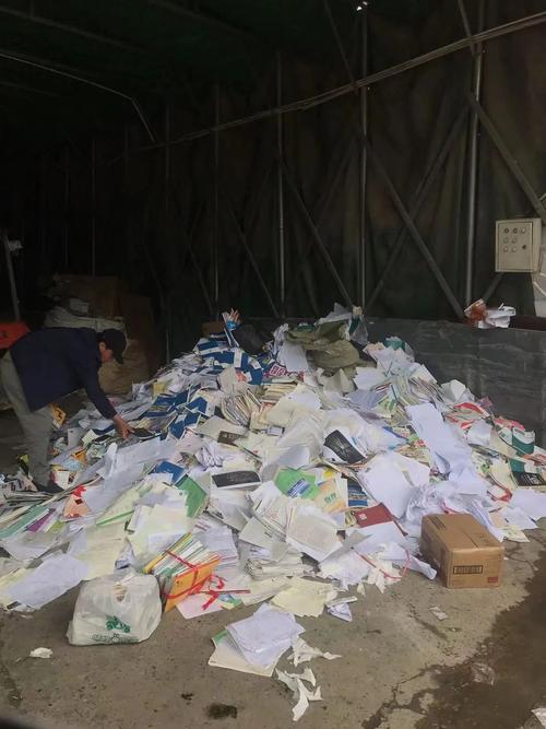 三个月胎儿(三个月胎儿能看出男女吗)