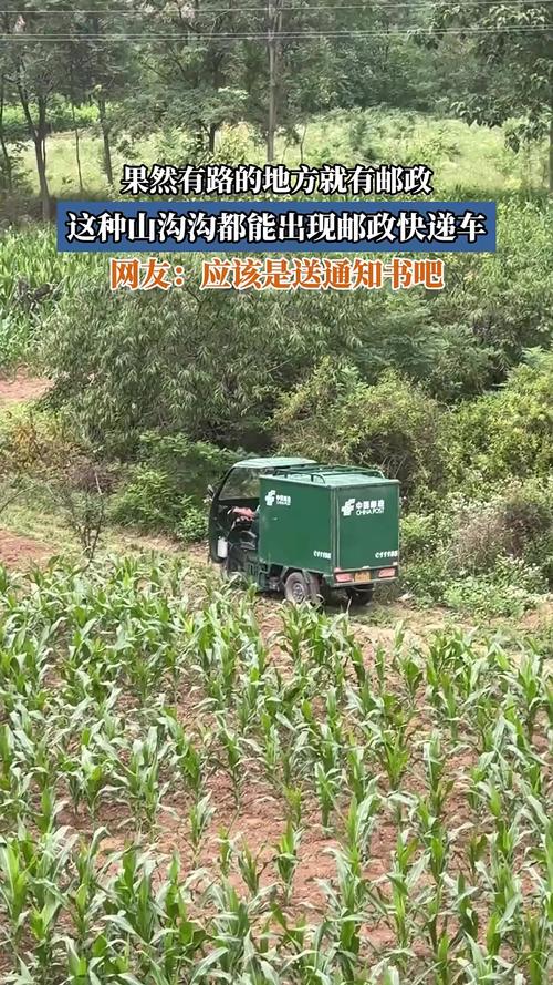 京东快递派送预期赔偿