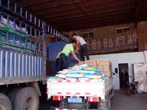 清华在校女博士报考协警未被录取