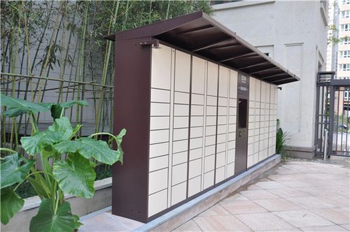 闫妮姚晨新剧再次合作