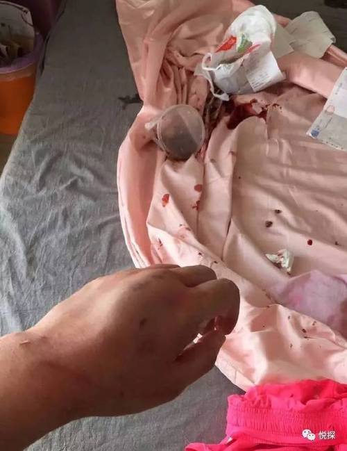 麻烦帮我找一份物流专业的自荐书