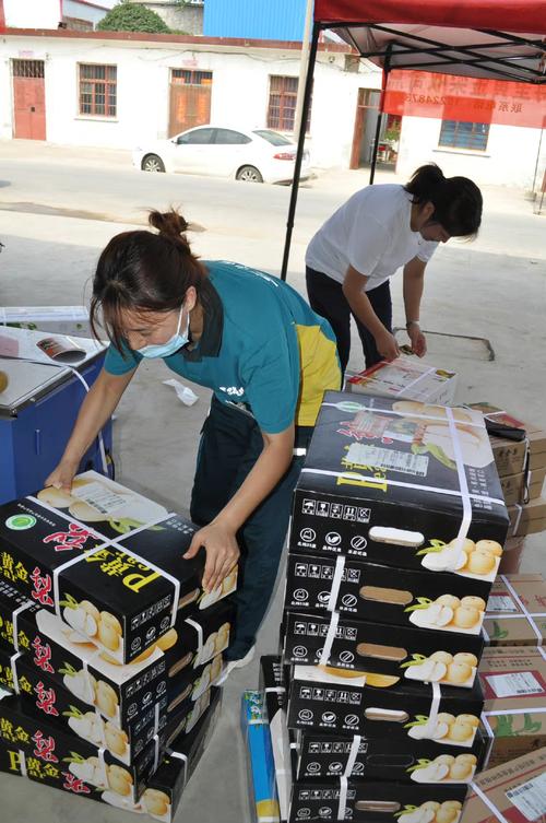 佳木斯物流查询热线是多少