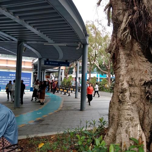 铁路冷链物流运输将翻开崭新的一页