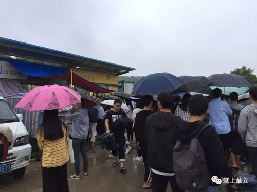 网络货运平台企业有哪些