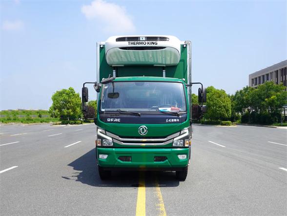 缅因猫因太胖被误当猞猁送到保护站