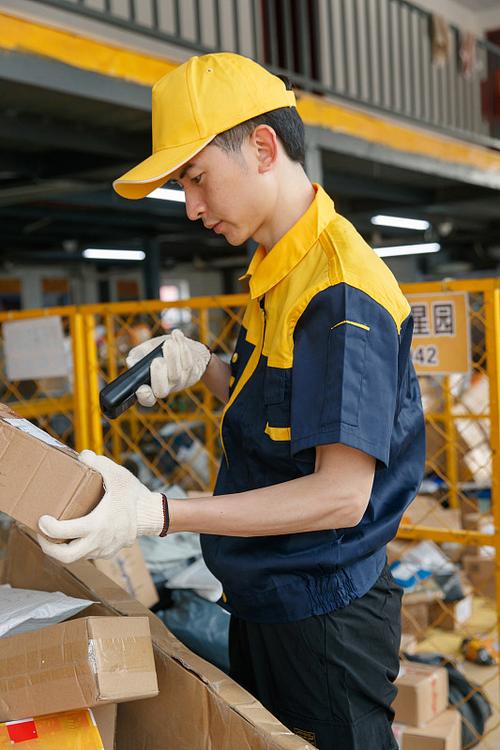 极地守护犬 极地守护犬电影简介