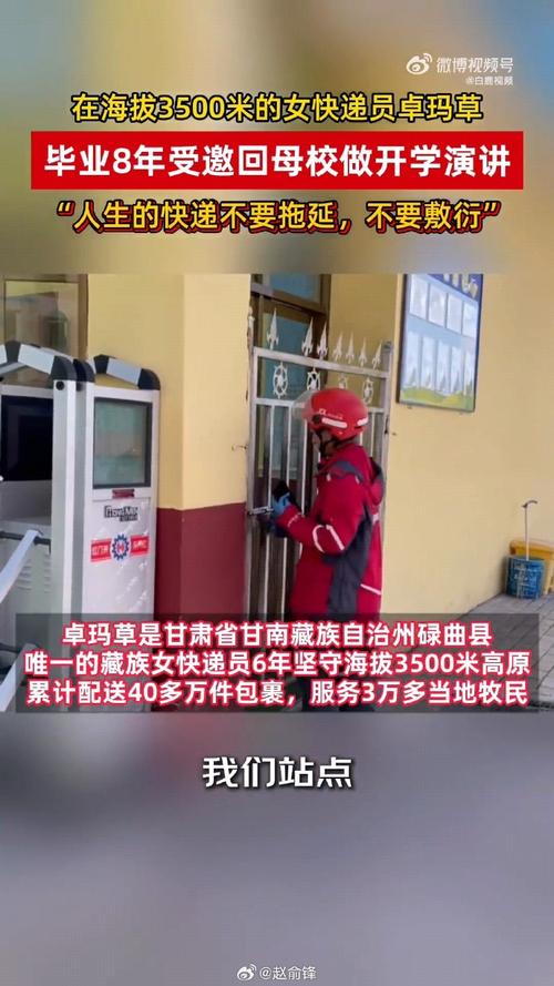 汇森龙邦物流单号查询