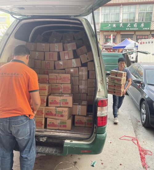 天津津门虎vs上海海港