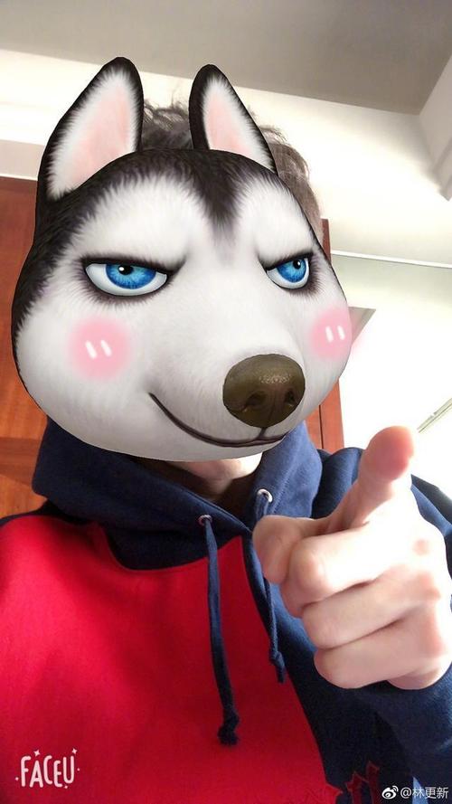 国际邮件单号跟踪查询