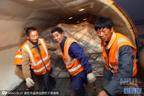 怎么查快递是到哪里了