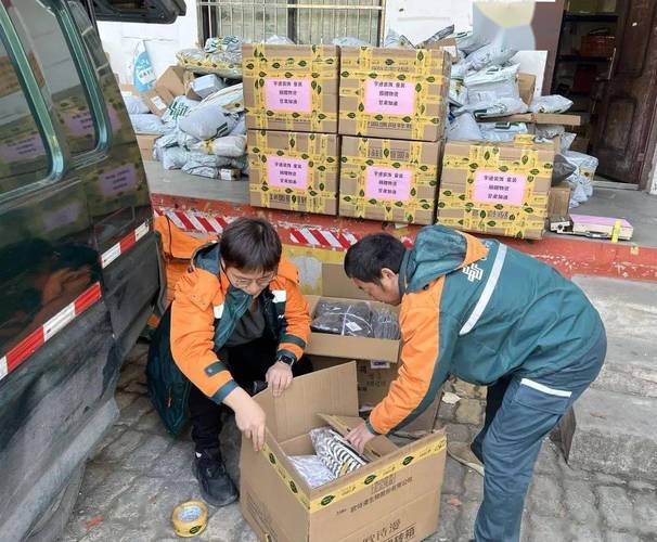 德成物流运输的效率与服务质量如何