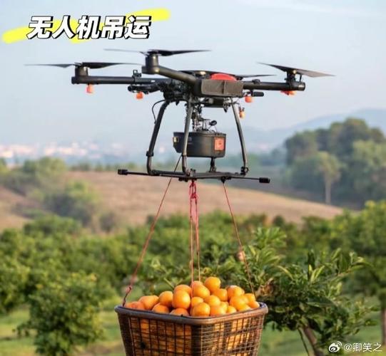 快递小哥如何安全快捷地处理我的包裹