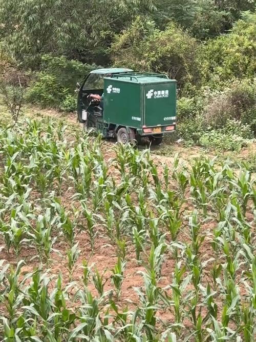 申通和菜鸟驿站哪个寄快递便宜