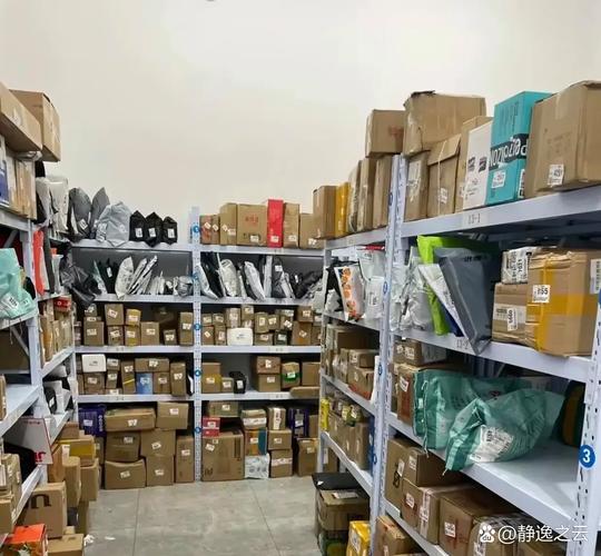 同城快递闪送，如何保障速度与服务质量