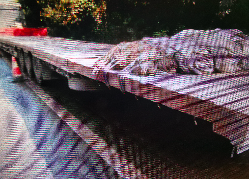 国家邮政局 前三季度预计快递业务收入与2025年全年持平