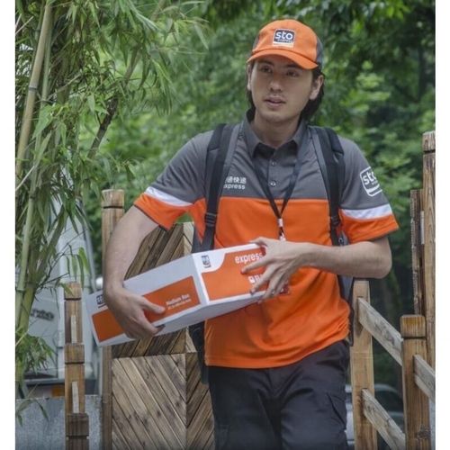 福建万安物流的运输效率与服务品质如何