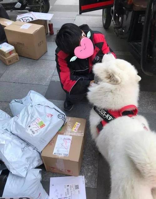 如何便捷地查询国际UPS快递物流信息 如何便捷地查询国际UPS快递物流信息