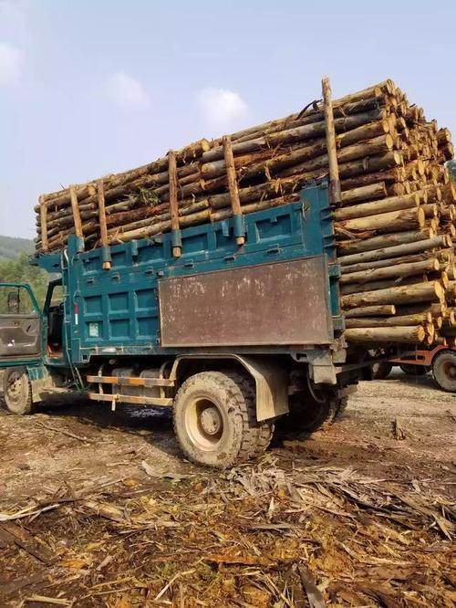 执业医报名 执业医报名啥时候交费