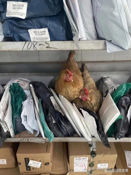 大连到岫岩物流专线