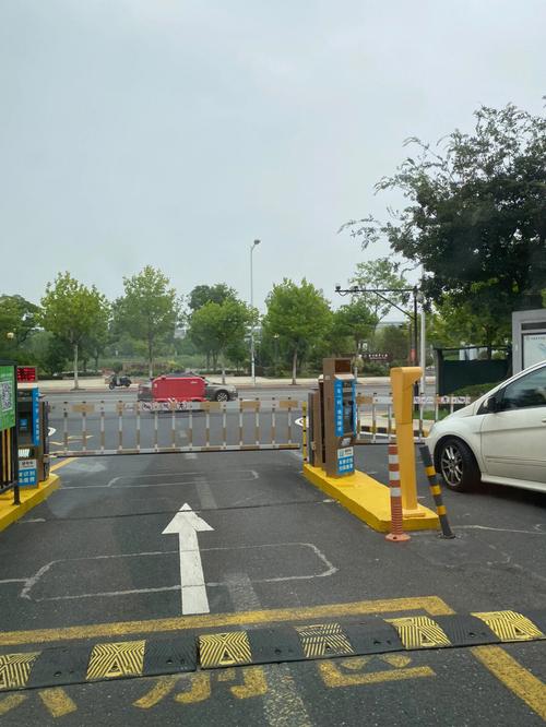 顶龙物流如何提供高效且专业的物流服务