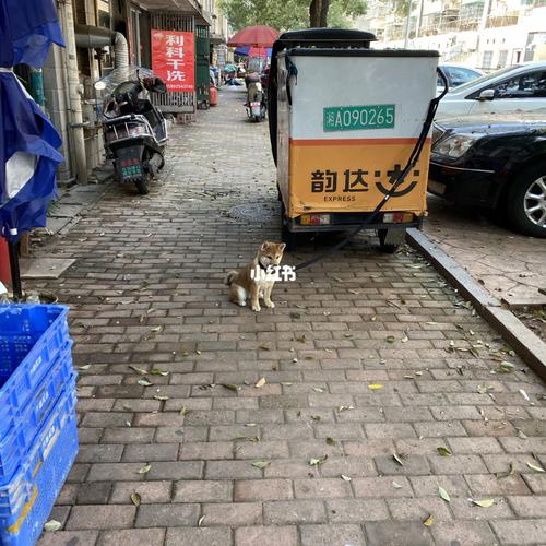 <b>怎么寄大件物流便宜</b>